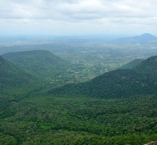 Kiliyur Falls